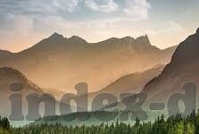 大象传媒app下载汅-畅游数字世界，大象传媒app的探索之旅