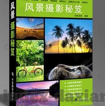 大象传媒免费进入在线-免费进入在线，大象传媒的独特魅力