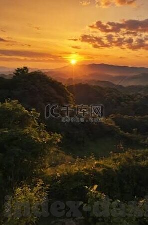 大象传媒 破解-破解大象传媒，透视数字时代的传播新维度