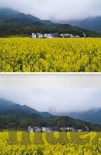 大象传媒影片-大象传媒影片，文化传承与创新的桥梁