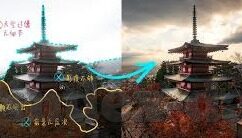 大象喷水视频集锦-奇妙瞬间，大象喷水视频集锦的欢乐与惊喜