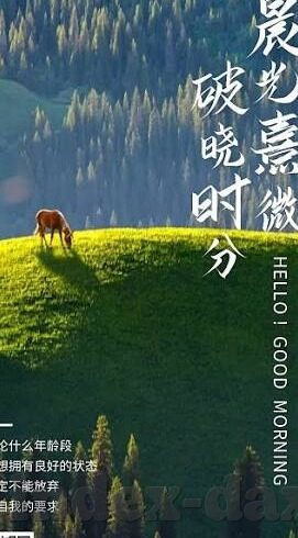 麻豆91av在线-麻豆91Online，透视网络文化的迷思与警醒