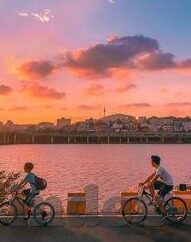 麻豆传媒介绍-麻豆传媒，数字时代的创意传播先锋