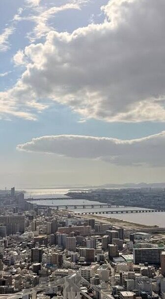 麻豆传媒袁子仪-红颜魅影，探寻麻豆传媒中袁子仪的荧幕风采
