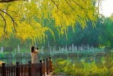 深圳麻豆传媒有限公司-深圳麻豆传媒有限公司，创意与创新的引领者