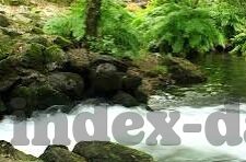 台湾伦理片-台湾伦理片，文化、社会与艺术的交织